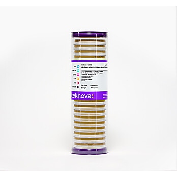 LB Lennox Agar Plates with Blasticidin-100, pH 8.0, Sterile