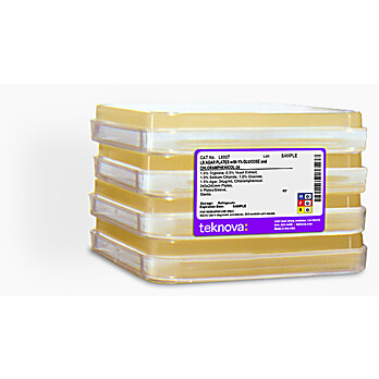 LB Agar Plates with 1% Glucose and Chlor-34, Sterile