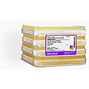 2XYT Agar Plates with 2% Glucose and Carbenicillin-100, Sterile