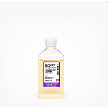 1X PBS-TBN Buffer with 0.05% Tween, 1% BSA, 0.1% Sodium Azide, Sterile