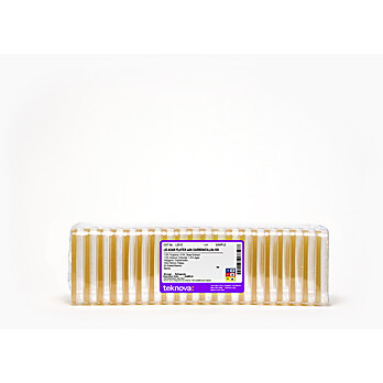 LB Agar Plates with Carbenicillin-100, Sterile