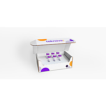 AAV•Tek™ DNase I Treatment