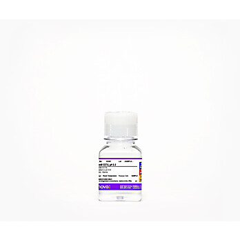 500mM EDTA, pH 8.0, Sterile
