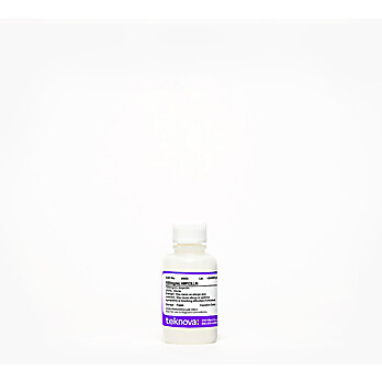 Ampicillin Solution