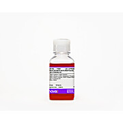 Tryptic Soy Broth with 5% Sheep's Blood and 0.001% Pyridoxal-HCl, Sterile