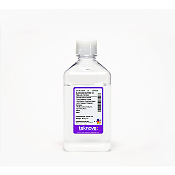 Blocking Buffer, 1X PBS, with 1% BSA, Sterile