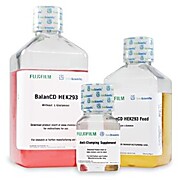 BalanCD HEK293 System