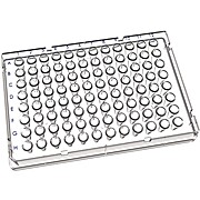 96 Well Full Skirted PCR Plate