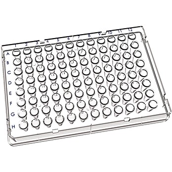 96 Well Full Skirted PCR Plate