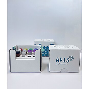 APIS Breast Cancer Subtyping Kit