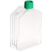 Tissue Culture Flask