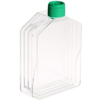 Tissue Culture Flask