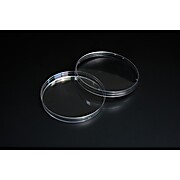Petri Dish