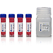 SmartDye™ v3.1 Terminator Cycle Sequencing Kit