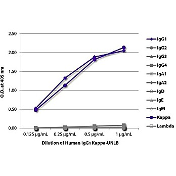 Hmn IgG1 Kappa-UNLB 0.5 mg