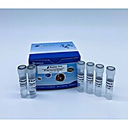 Fungal Panel Real Time PCR Detection