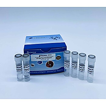 Fungal Panel Real Time PCR Detection