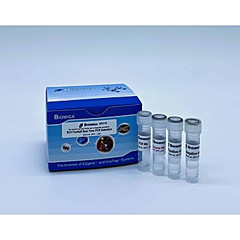 SC2 FluA&B Real Time PCR Detection