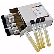 Nutrient Agar Tubes Pk/12