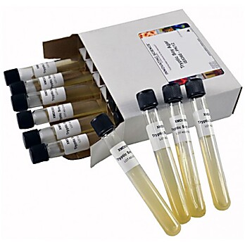 Nutrient Agar Tubes Pk/12 