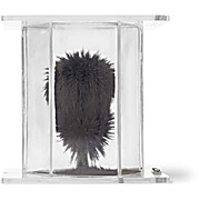 United Scientific® 3D Magnetic Field Demonstrator