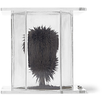 United Scientific® 3D Magnetic Field Demonstrator