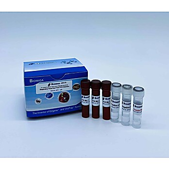 Respiratory Panel Real Time PCR Detection