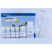 Plasmid Miniprep Kit I