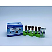 UTI Panel Real Time PCR Detection