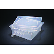 United Scientific® Gel Staining Tray