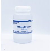 RNaseErase Solution