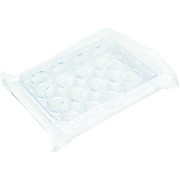 United Scientific® Well Plate, 12-Well, Sterile