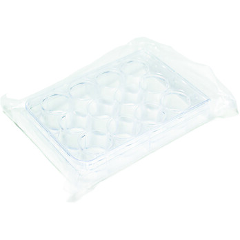 United Scientific® Well Plate, 12-Well, Sterile