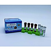 Pneumonia Panel Real Time PCR Detection