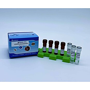 Pneumonia Panel Real Time PCR Detection