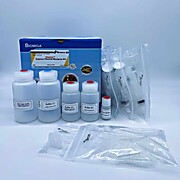 Express Plasmid Maxiprep Kits