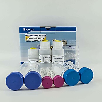 ViraTrap™ Adenovirus Purification Maxi Kits