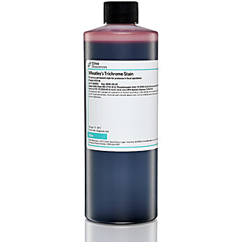 Wheatley's Trichrome Stain, 16oz, Ethos