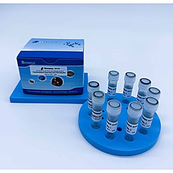 GI Real Time PCR Detection Kit (RUO)