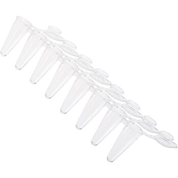 PCR Tubes