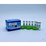 Nail Fungal Real Time PCR Detection Kit (RUO)