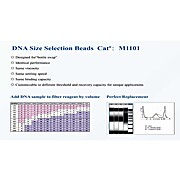 DNA Size Selection Beads