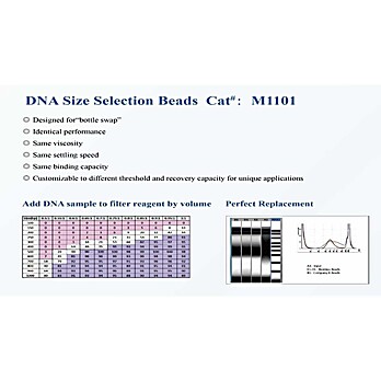 DNA Size Selection Beads