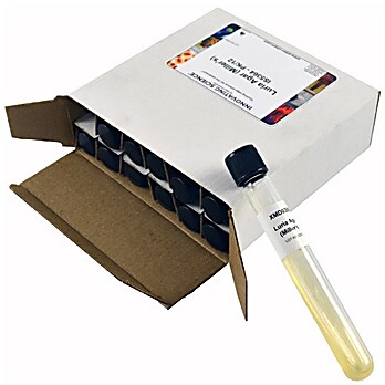 Sabouraud Dextrose Agar Tubes Pk/12