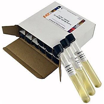 Sabouraud Dextrose Broth Tubes Pk/12