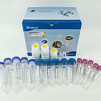 Adenovirus Purification Maxi Kit