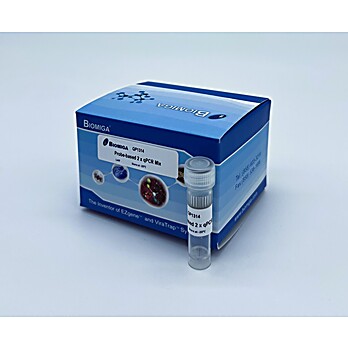 Probe Based 2x qPCR Master Mix