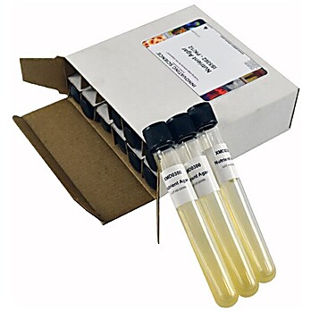 Luria Agar (Millers) Tubes Pk/12