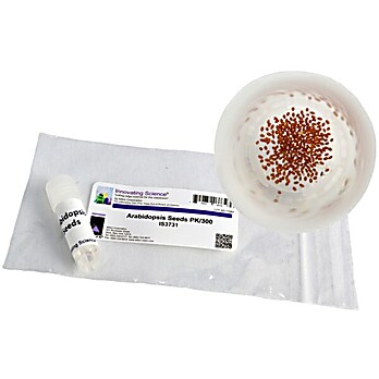 Arabidopsis Seeds, Pk/300 Colombia Wild Type