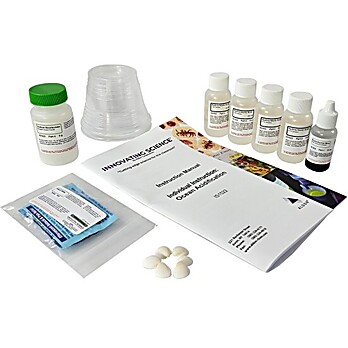 Ocean Acidification Individual Instruction